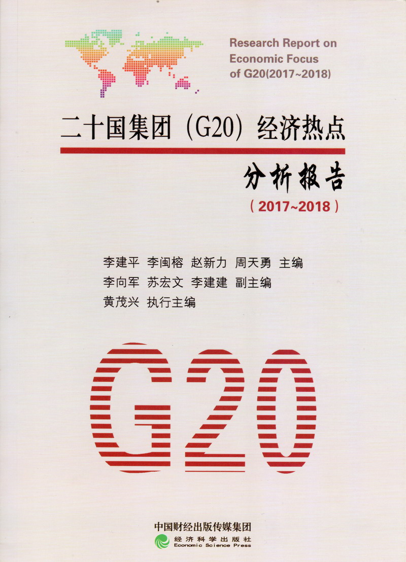 操老肥逼免费视频二十国集团（G20）经济热点分析报告（2017-2018）